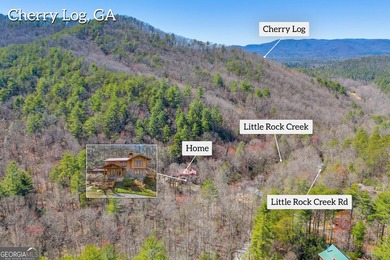 WATERFRONT ESTATE on 50+ PRIVATE ACRES located between Ellijay - photo 2