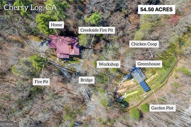 WATERFRONT ESTATE on 50+ PRIVATE ACRES located between Ellijay - photo 3
