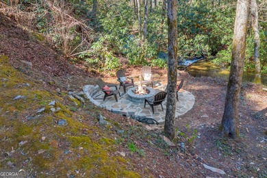 WATERFRONT ESTATE on 50+ PRIVATE ACRES located between Ellijay - photo 8