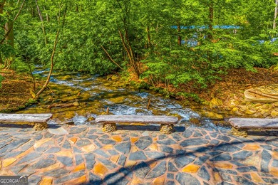 WATERFRONT ESTATE on 50+ PRIVATE ACRES located between Ellijay - photo 9