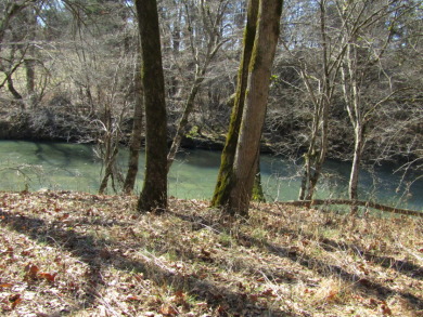 4.96 AC WITH WOLF RIVER THRU THE PROPERTY OF 850’ – NO RESTRI - Lake Acreage For Sale in Pall Mall, Tennessee