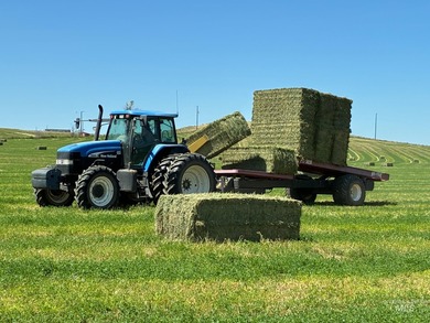 This 447+/- acre highly functional farm near Vale is a - photo 15