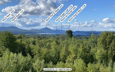 Lake Memphremagog Commercial For Sale in Newport Vermont