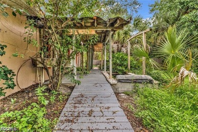 MORNING COFFEE IN THE SUNROOM. EVENINGS SURROUNDED BY TROPICAL - photo 46