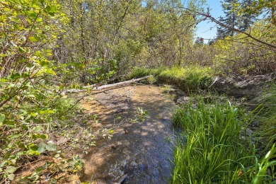 Lake Acreage For Sale in Florence, Montana