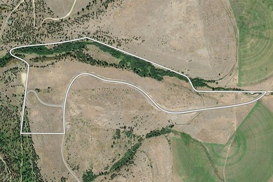 At the heart of Lolo Ranch, McClain Creek Meadows spans 138 - photo 3