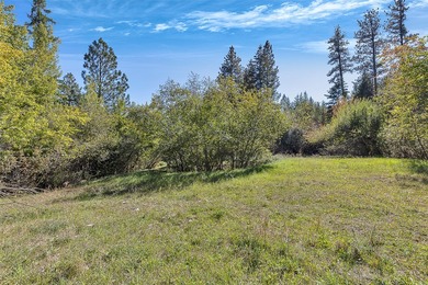 At the heart of Lolo Ranch, McClain Creek Meadows spans 138 - photo 4