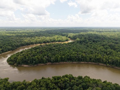 (private lake, pond, coastal) Acreage For Sale in Johnsonville South Carolina