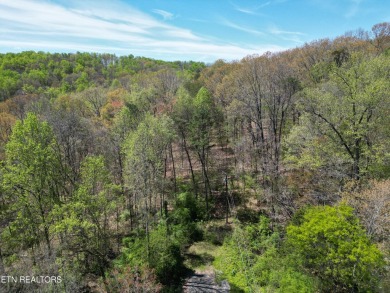 Clinch River - Anderson County Acreage For Sale in Clinton Tennessee