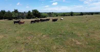 (private lake, pond, creek) Acreage For Sale in Sherman Texas