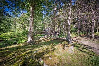 A truly rare offering on the shores of Winter Harbor, this - photo 14