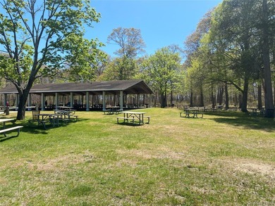 This lovely, immaculate expanded ranch in Country Village - photo 34