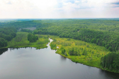 Hunting Paradise on Star Lake in Hayward, WI - photo 20