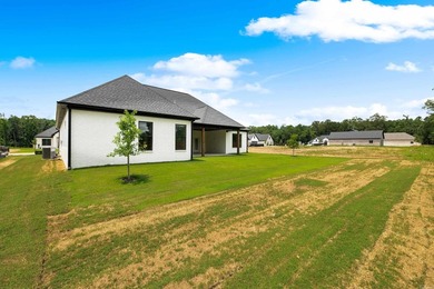 Welcome home to this stunning new construction white painted - photo 49