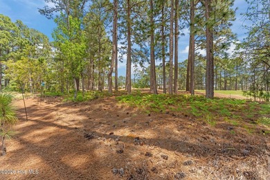 Welcome to 174 Holly Springs Court, located in the sought-after - photo 50