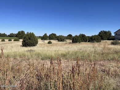 Lake Lot For Sale in Show Low, Arizona