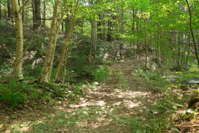 Hunting Paradise on Star Lake in Hayward, WI - photo 28