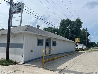 Lake Huron - Sanilac County Commercial For Sale in Lexington Michigan