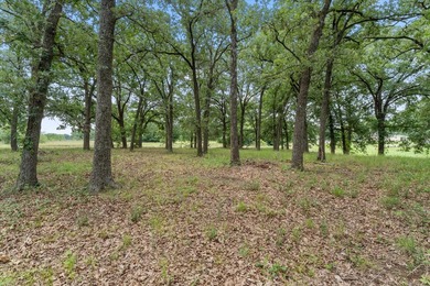 Your own piece of paradise! 1.806 acres of heavily treed - photo 11