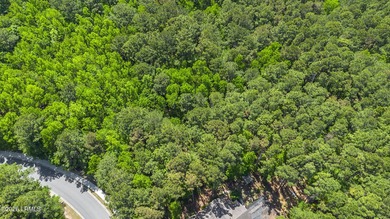 Build your dream home on this beautiful homesite in the - photo 12