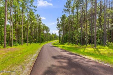 Welcome to Springwood, Flora's newest lakefront development - photo 13