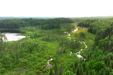 Hunting Paradise on Star Lake in Hayward, WI - photo 29