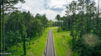 Welcome to Springwood, Flora's newest lakefront development - photo 23