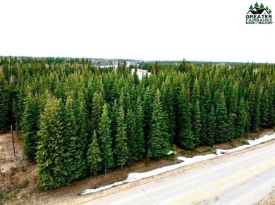 Nicely wooded lots close to Eielson and downtown NP. Can build a - photo 2