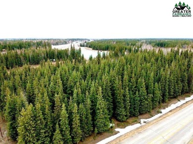 Nicely wooded lots close to Eielson and downtown NP. Can build a - photo 3