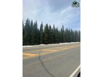 Nicely wooded lots close to Eielson and downtown NP. Can build a - photo 4