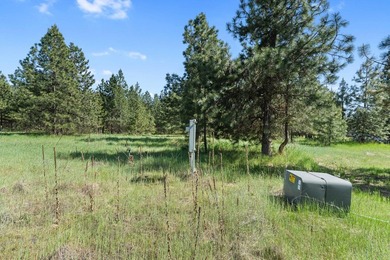 Perched above Lake Roosevelt on 10 private acres, this charming - photo 46