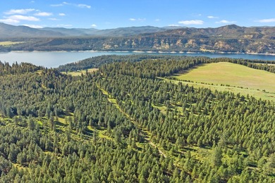 Perched above Lake Roosevelt on 10 private acres, this charming - photo 49