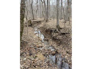 Here is a very remote 4.4 acres with some great big mature - photo 1