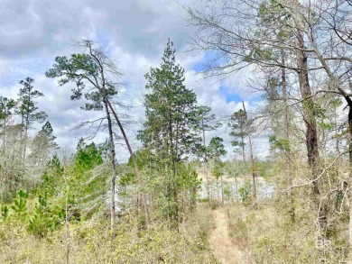 Own a piece a paradise on the beautiful Lake Juniper in the - photo 2