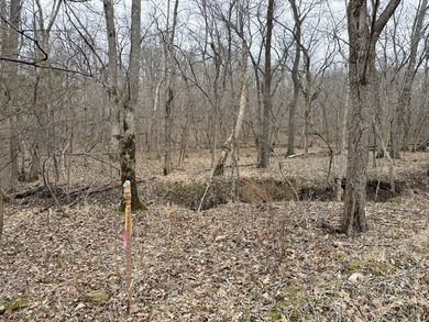 Here is a very remote 4.4 acres with some great big mature - photo 2