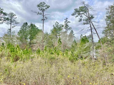 Own a piece a paradise on the beautiful Lake Juniper in the - photo 3