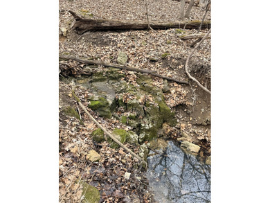 Here is a very remote 4.4 acres with some great big mature - photo 3