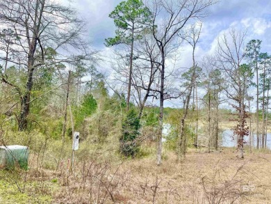 Own a piece a paradise on the beautiful Lake Juniper in the - photo 4