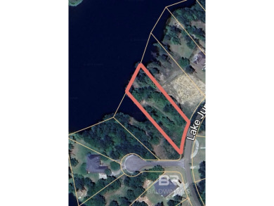 Own a piece a paradise on the beautiful Lake Juniper in the - photo 5
