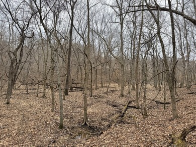 Here is a very remote 4.4 acres with some great big mature - photo 6