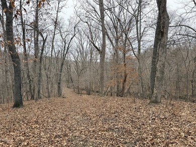 Here is a very remote 4.4 acres with some great big mature - photo 7
