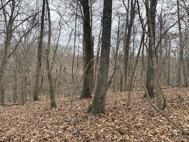 Here is a very remote 4.4 acres with some great big mature - photo 8
