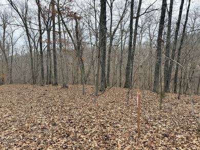 Here is a very remote 4.4 acres with some great big mature - photo 9