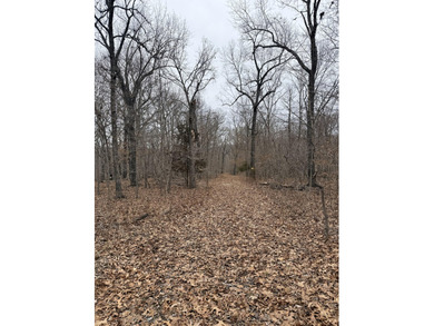 Here is a very remote 4.4 acres with some great big mature - photo 10