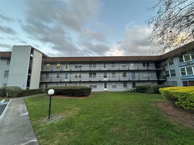 Lake Howard Condo For Sale in Winter Haven Florida