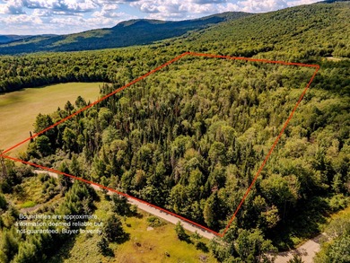 Island Pond Acreage For Sale in Brighton Vermont