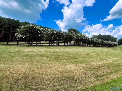 Build your dream home & enjoy the view from this 2-acre lot! The - photo 11