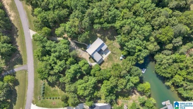 Smith Lake water front lake home with 2 lots located in Stoney - photo 11
