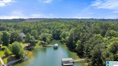 Smith Lake water front lake home with 2 lots located in Stoney - photo 14