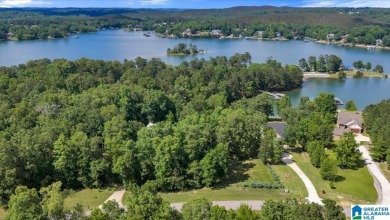 Smith Lake water front lake home with 2 lots located in Stoney - photo 15